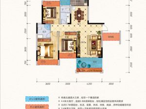 衡阳-雁峰区博达新桂城为您提供B2栋4号户型鉴赏