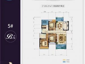 衡阳-常宁市东城首府为您提供5栋B1户型鉴赏