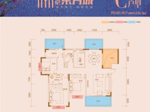 衡阳-常宁市世纪东方城为您提供C户型鉴赏